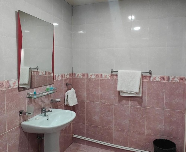 Areg Hotel image 83